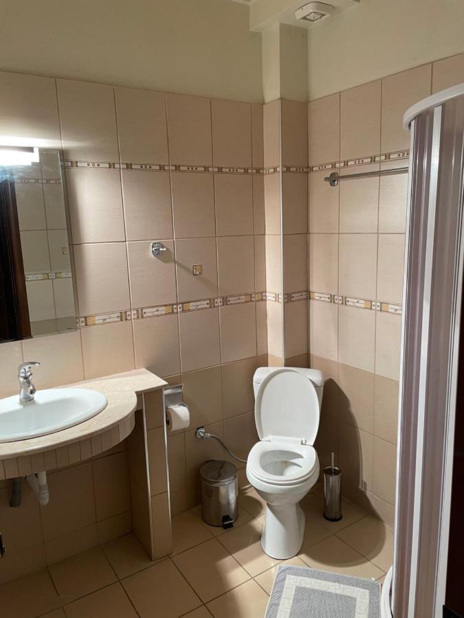 Hotel Melastron Ελασσόνα Εξωτερικό φωτογραφία